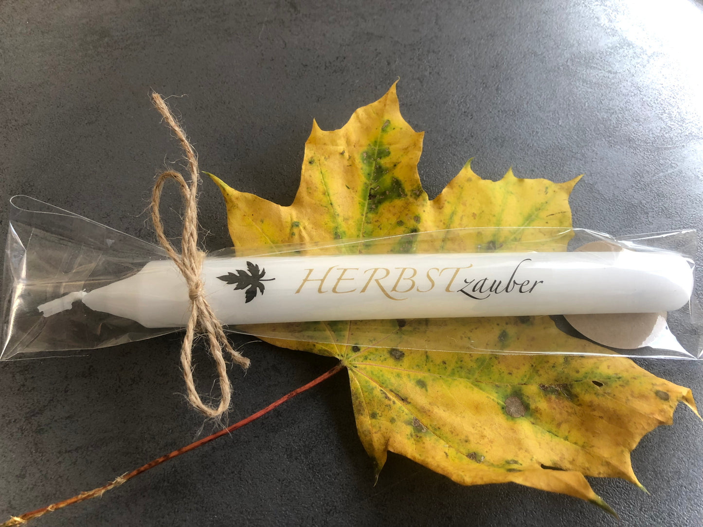 HERBSTBereiter