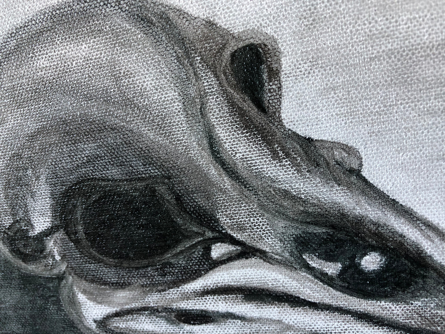 Ravenskull