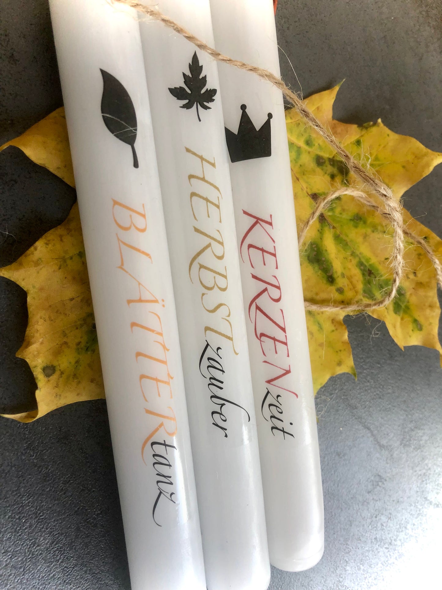 HERBSTBereiter