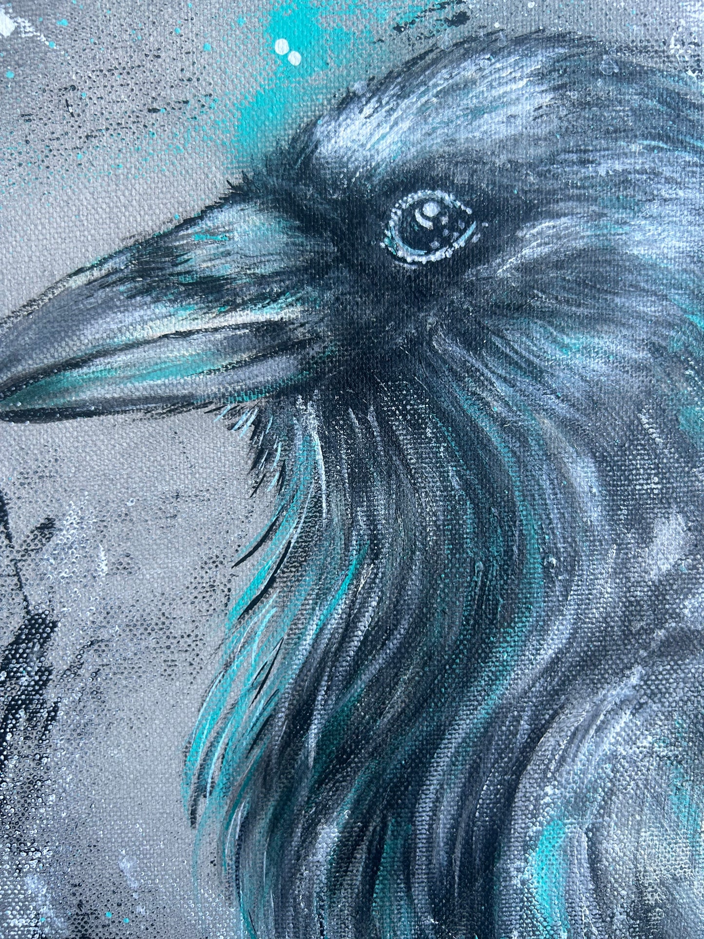 NOXCorvus