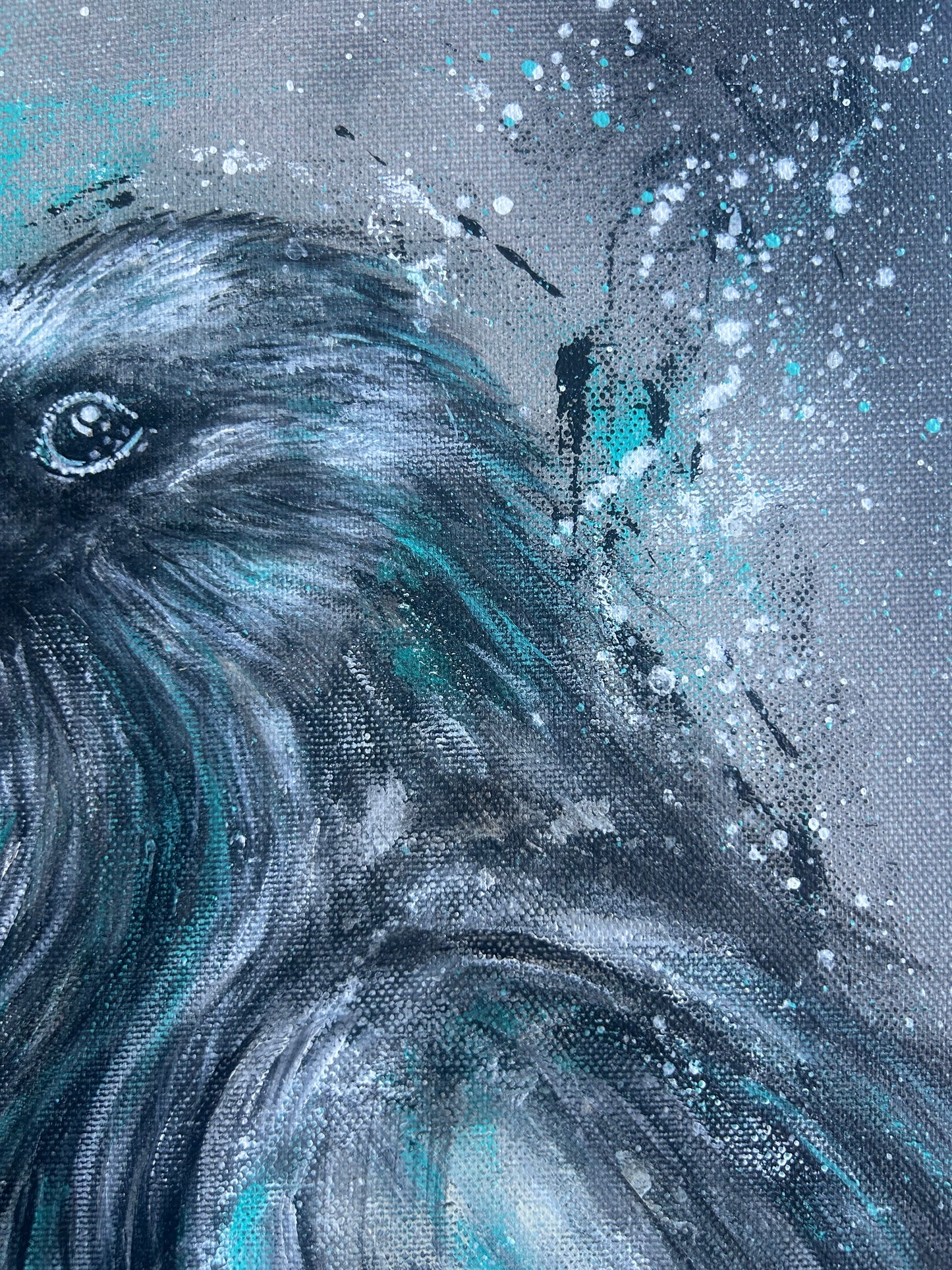 NOXCorvus