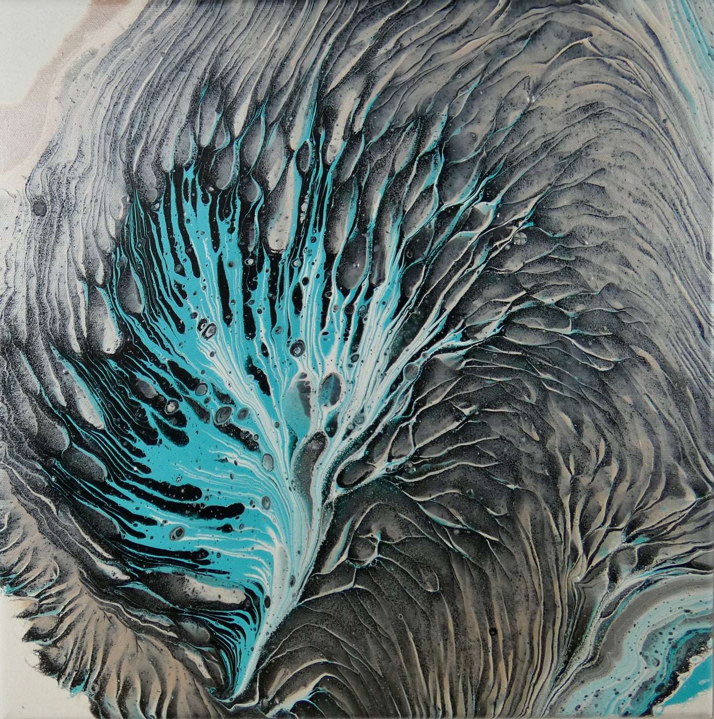 PEACOCK RISING